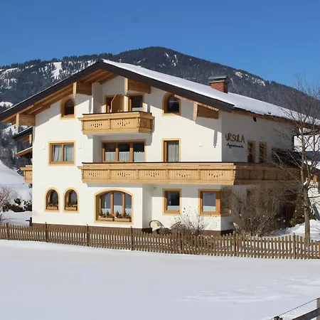 Appartement-gaestehaus Ursula フラッハウ